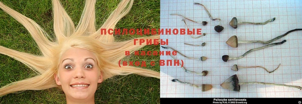 MDMA Богородск
