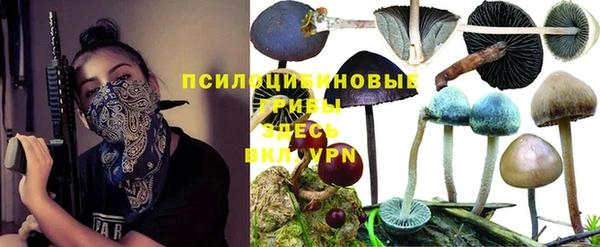 дурь Верхний Тагил
