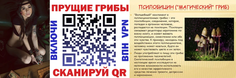 Купить где  Минусинск  Псилоцибиновые грибы прущие грибы 